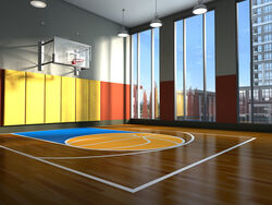 Sports Flooring from Z&s Carpets Dubai, UNITED ARAB EMIRATES