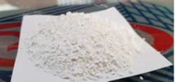 Silica Flour from Gulf Minerals & Chemicals (llc) Umm Al Quwain, UNITED ARAB EMIRATES