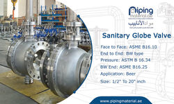 Sanitary Globe Valve from Piping Material Fujairah, UNITED ARAB EMIRATES