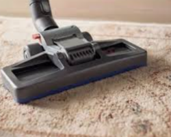 Carpet Cleaning and Shampooing from Neon Environment Services Abu Dhabi, UNITED ARAB EMIRATES