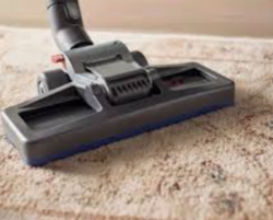 Carpet Cleaning and Shampooing