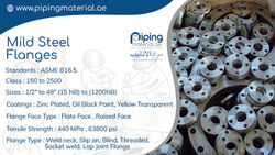 Mild steel flanges from Piping Material Fujairah, UNITED ARAB EMIRATES