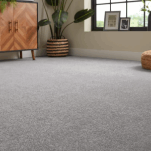 Pembrooke Carpet - Interiors in UAE Marketplace