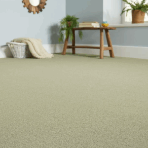 Portland Carpet - Interiors in UAE Marketplace