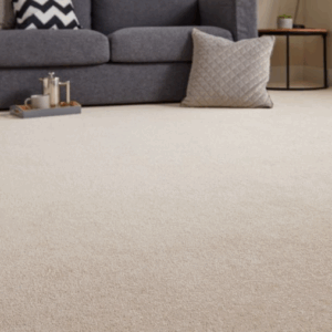 Regal Carpet - Interiors in UAE Marketplace