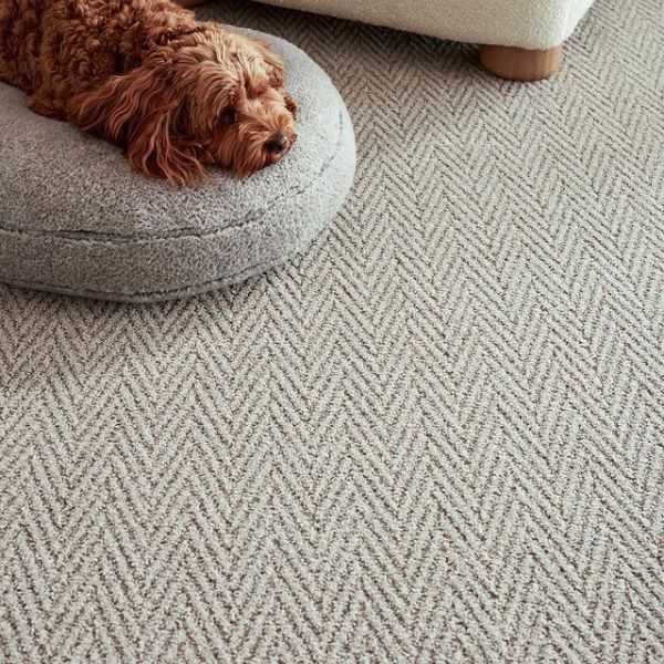 Silver 23 - Interiors in UAE Marketplace