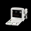 Digital Ultrasonic Diagnostic Imaging System 