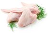 Fresh chicken wings suppliers