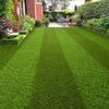 Artificial Grass Carpets 