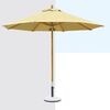 Harbin Umbrella