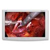 MEDICAL SURGICAL DISPLAYS 