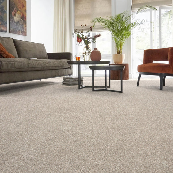Vision Luxury Saxony Actionback Carpet - Interiors in UAE Marketplace