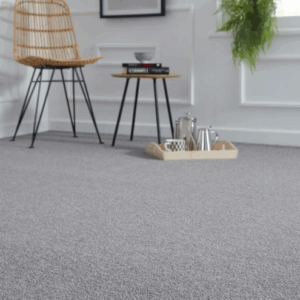 Warrior Carpet - Interiors in UAE Marketplace